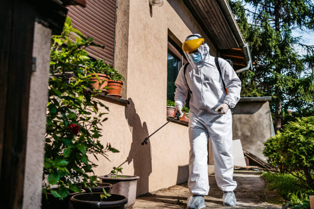 Best Flea Control Services  in New Johnsonville, TN