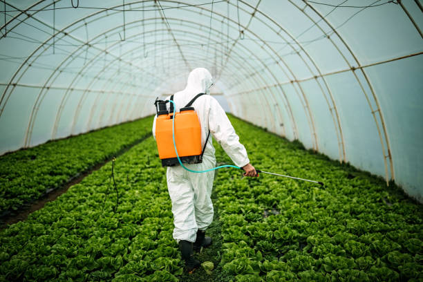 Best Pest Inspection Near Me  in New Johnsonville, TN