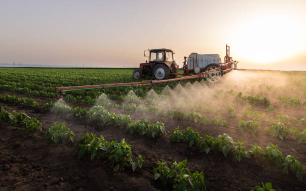 Best Mosquito Control Services  in New Johnsonville, TN