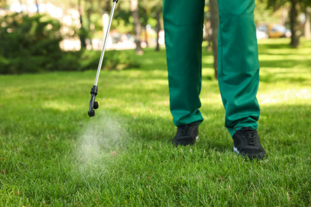 Wasp Removal Services in New Johnsonville, TN