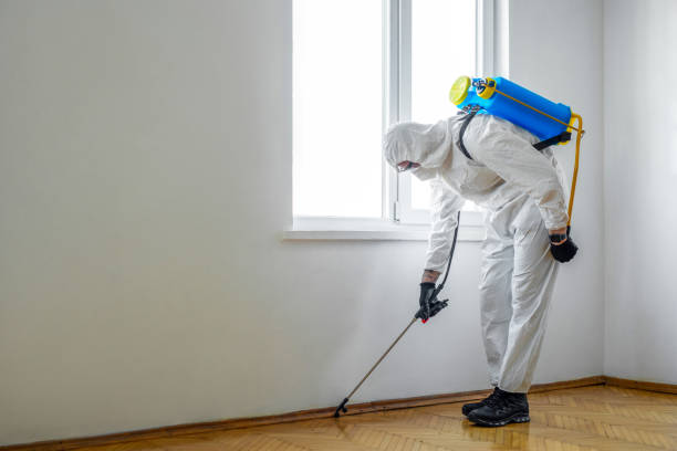 Best Best Pest Control Companies  in New Johnsonville, TN