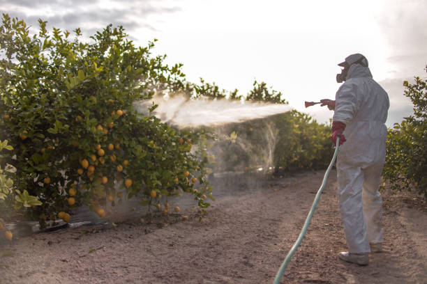 Reliable New Johnsonville, TN Pest Control Solutions