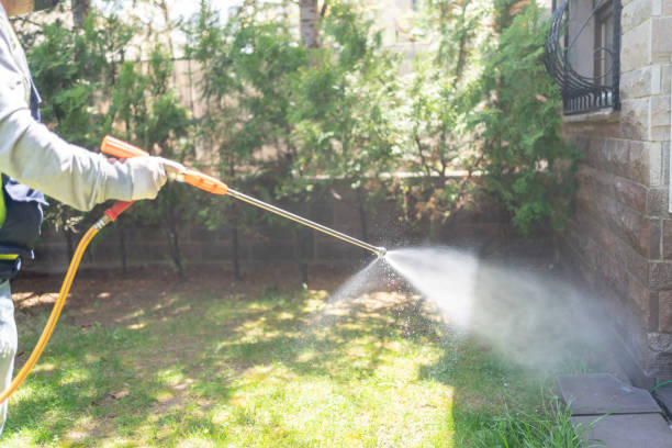 Best Affordable Pest Control Services  in New Johnsonville, TN