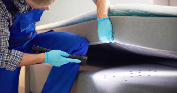 Best Mosquito Control Services  in New Johnsonville, TN