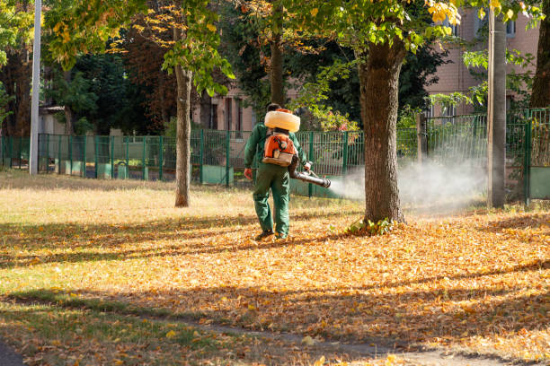 Best Best Pest Control Companies  in New Johnsonville, TN