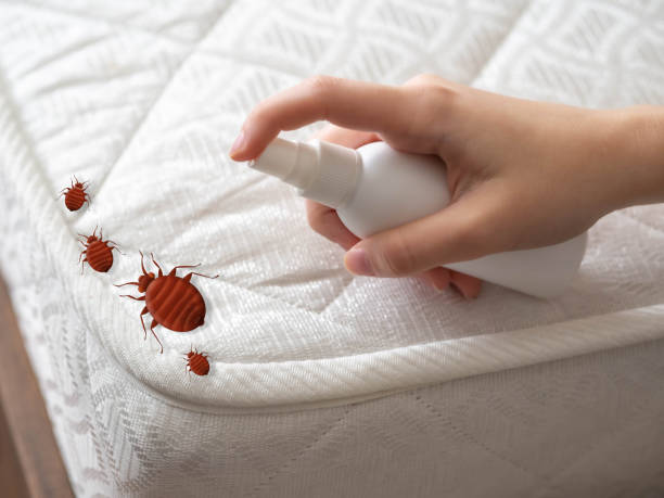 Best Bed Bug Extermination  in New Johnsonville, TN