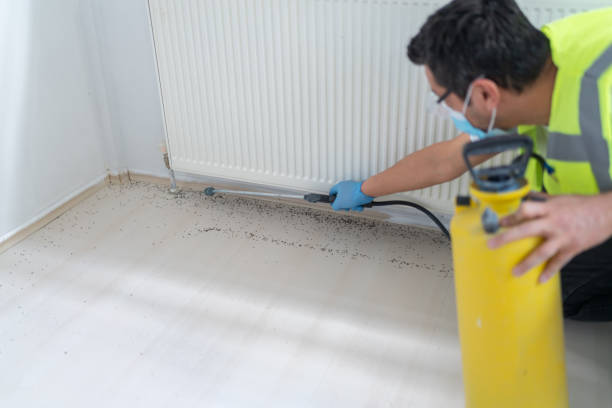 Best Affordable Pest Control Services  in New Johnsonville, TN