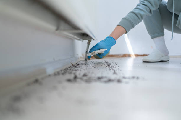 Wildlife Control Services in New Johnsonville, TN